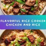 Rice Cooker Chicken and Rice Recipe