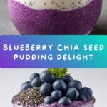 Blueberry Chia Seed Pudding Recipe