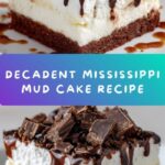 Mississippi Mud Cake Recipe