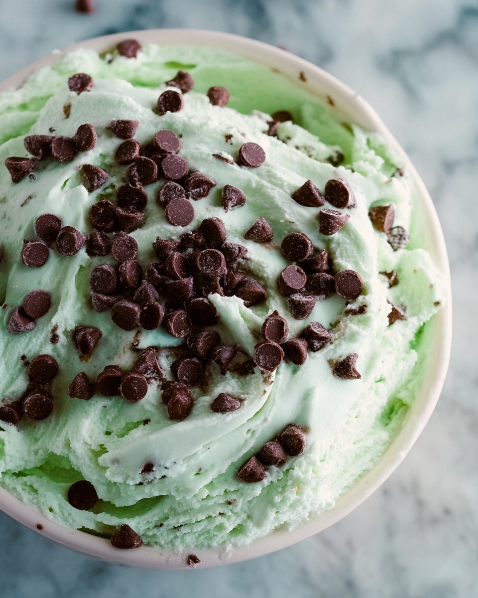 Mint Chocolate Chip Dip Recipe - Recipe Image