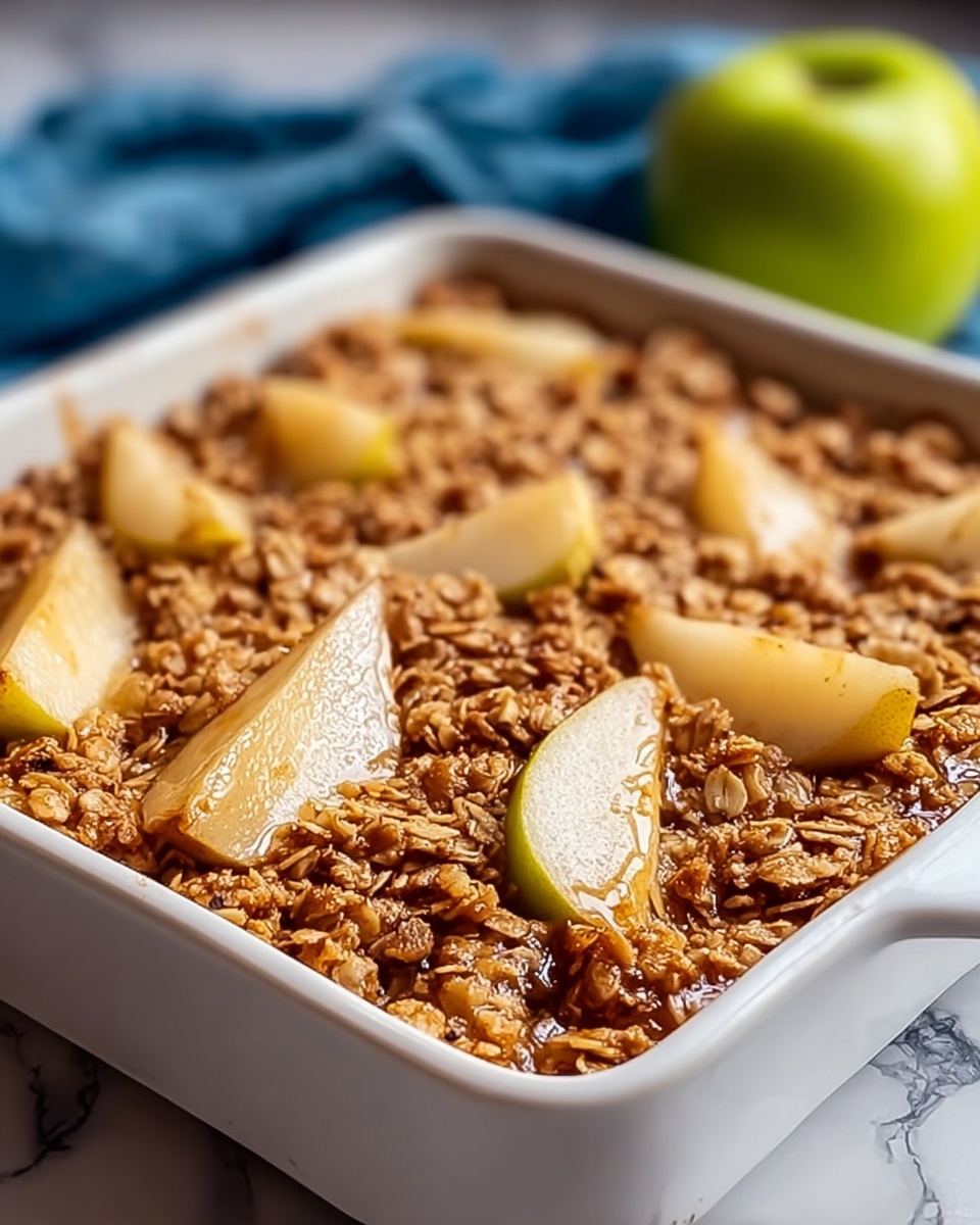 Cozy Amish Style Apple and Cinnamon Baked Oatmeal Recipe - Recipe Image
